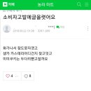 삼립빵을 수제빵이라 속여 팔아온 업체 이미지