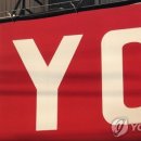 BYC 이미지