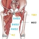 번 피트니스 이미지