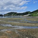 씨드민박 이미지