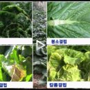 ＜9월 4일 금＞ 출석부입니다 이미지