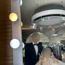 짐퍼스트 청담 | 더컨벤션 신사 본식 후기 :: 라이트댓 스냅, 이브닝...유포릭 아이폰스냅, 청담 비올 메이크업...