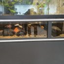 광우상사 이미지