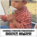 유아음료 어린이영양제 피엘헬스 마이키스 바닐라맛 어린이간식 추천