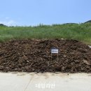 에스이에스티(주) - 1191 | 에스이에스티(주)
