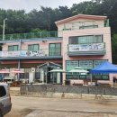 굴사랑 이미지