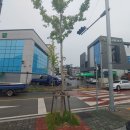 우강농협주유소 네이버블로그