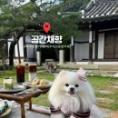 pet274더9634 | 파주 애견동반 카페 ‘공간 채향’ | 한옥 분위기와 야외 좌석 리뷰 (메뉴, 주차 정보 포함)