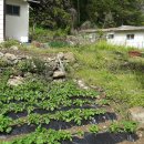 덕동민박 이미지