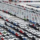 주식회사 스파크글로벌 이미지