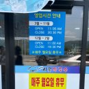 &lt;순천&gt; 메밀막국수&amp;비빔국수&amp;콩국수&amp;돈가스 메밀고개 시골막국수 내돈내산 후기(ft.웨이팅 팁)
