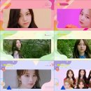 펀치 카카오 검색결과