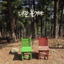 산수유 둘레길 이미지