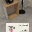 안느테라피