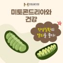 미토셀의원 이미지