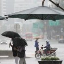 그늘막80 이미지