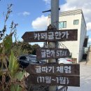 귤한가 | [제주 카페] 귤따기체험 가능한 귤카페 “카페 귤한가” 다녀온 후기➿ 🍊