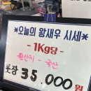 화성 궁평항(가는길) 새우포장 금호수산