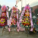 한양콤푸