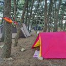 칠포해수욕장 이미지