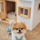 영웅하우스 이미지