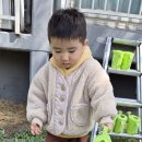 상추,방울토마토 물주기🍅/ 바깥놀이 활동 이미지