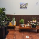 한오백년가든 이미지