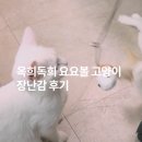 옥희시스템 이미지