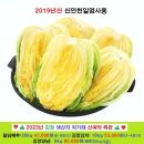 그린농장 이미지