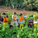 창아어린이집 이미지