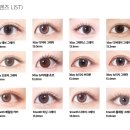 다비치히어링보청기부천원종역점 | 퍼스널 컬러 봄 웜톤, 여름 쿨톤/ 다비치 부천원종역점