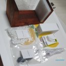 무선 식물 무드등으로 집안 분위기 바꾸기 - 모던 포인트 무드등 (모스그린) 후기