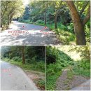 장수한누리전당 너울관 헬스장 | 장수 마봉산(724.6m)-타관산(624.1m)산행및 주논개사당 의암사와 의암공원 탐방
