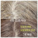 쏙!눈썹