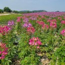 생태습지 이미지