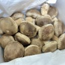 송화농장 | 🍄‍🟫 친환경 농산물, 송화버섯🍄‍🟫 아버님이 선물해주신 송화버섯 솔직후기 (광고 아님)