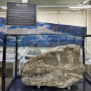 테마와 하루(문화예술 체험) | [ 포천 여행 ] 서울 근교 숨은 명소 발견… 예술정원 1999 자연예술테마파크 다녀온 후기