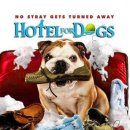 [영화후기] 강아지 호텔 (Hotel For Dogs, 2009)