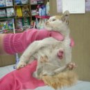 구의2동주민센터 이미지