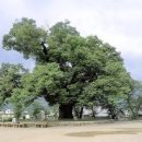 동서양 철학으로 삶의 지혜를 배우다 | 숲에서 답을 얻다 - 홍 성범