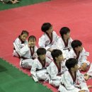 청도태권도체육관 이미지