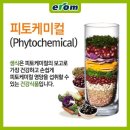 피토 이미지