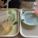 카페이글루