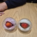 아뮤 | 나가사키 아뮤플라자 쇼핑과 데지마 후기, 메가네바시 안경교 등불축제 야경