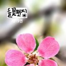 들꽃편지 이미지