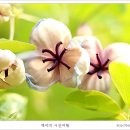 향기에취하다