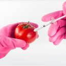 덴탈이유 이미지