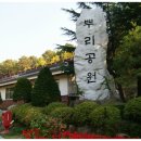 센타투어