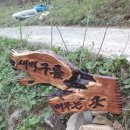 효운농장 Daum카페