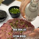 용원향어나라